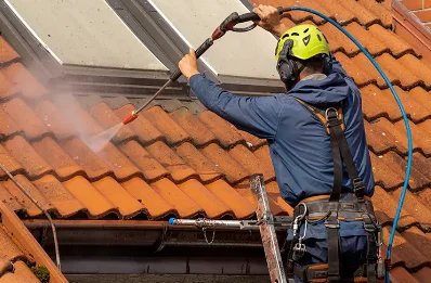 Démoussage et hydrofuge de toiture à Mauves